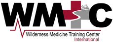 2016-wmtc-international-linear-logo-clear-for-website_57