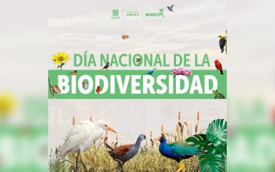 Biodiversity in Colombia: How much do you know?