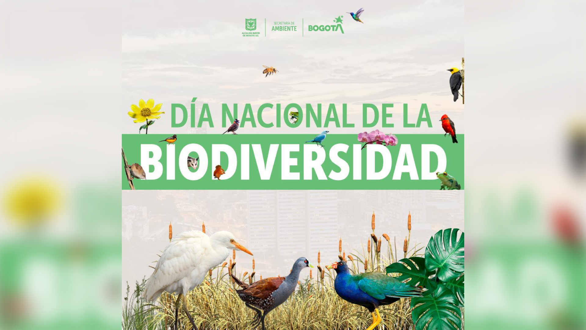 Biodiversity in Colombia: How much do you know?