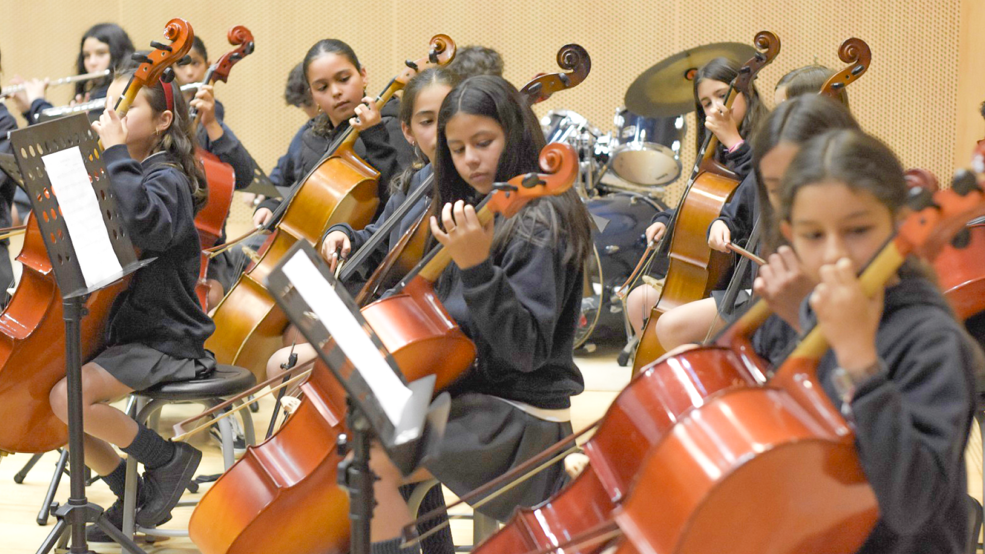 Chispa Concierto Primaria de fin de año