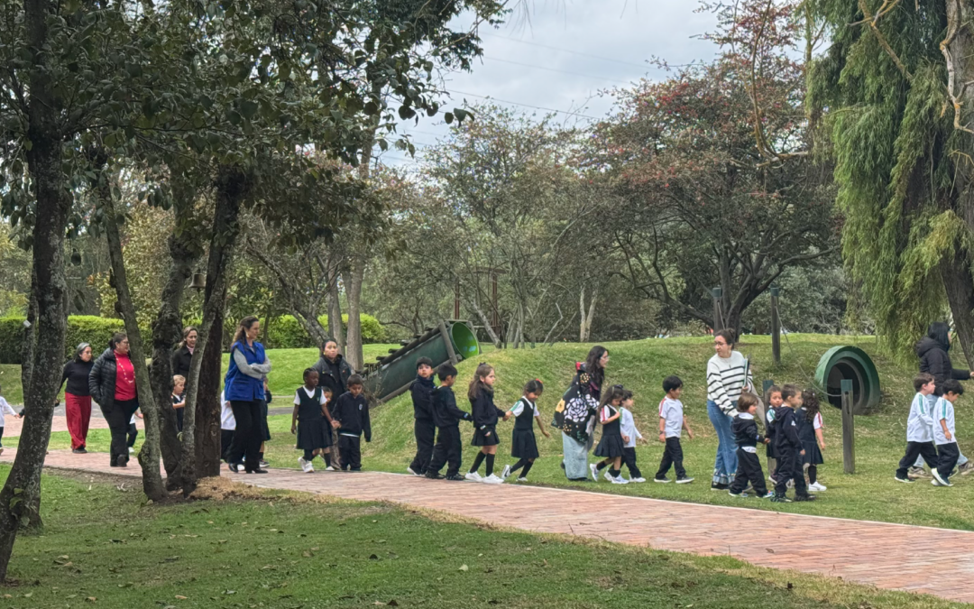 ¿Qué es el Comité de Manejo de Emergencias?