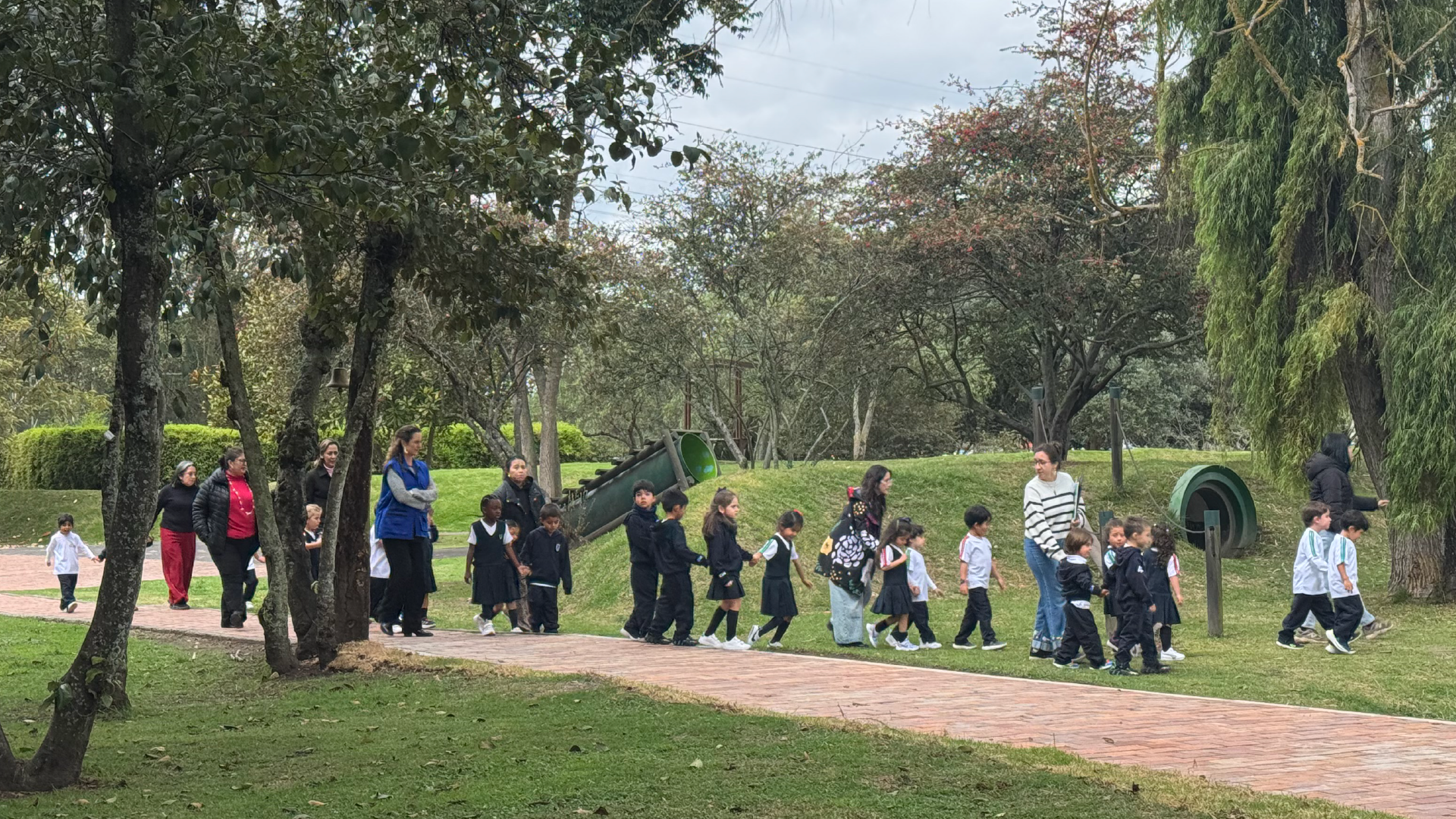 ¿Qué es el Comité de Manejo de Emergencias?