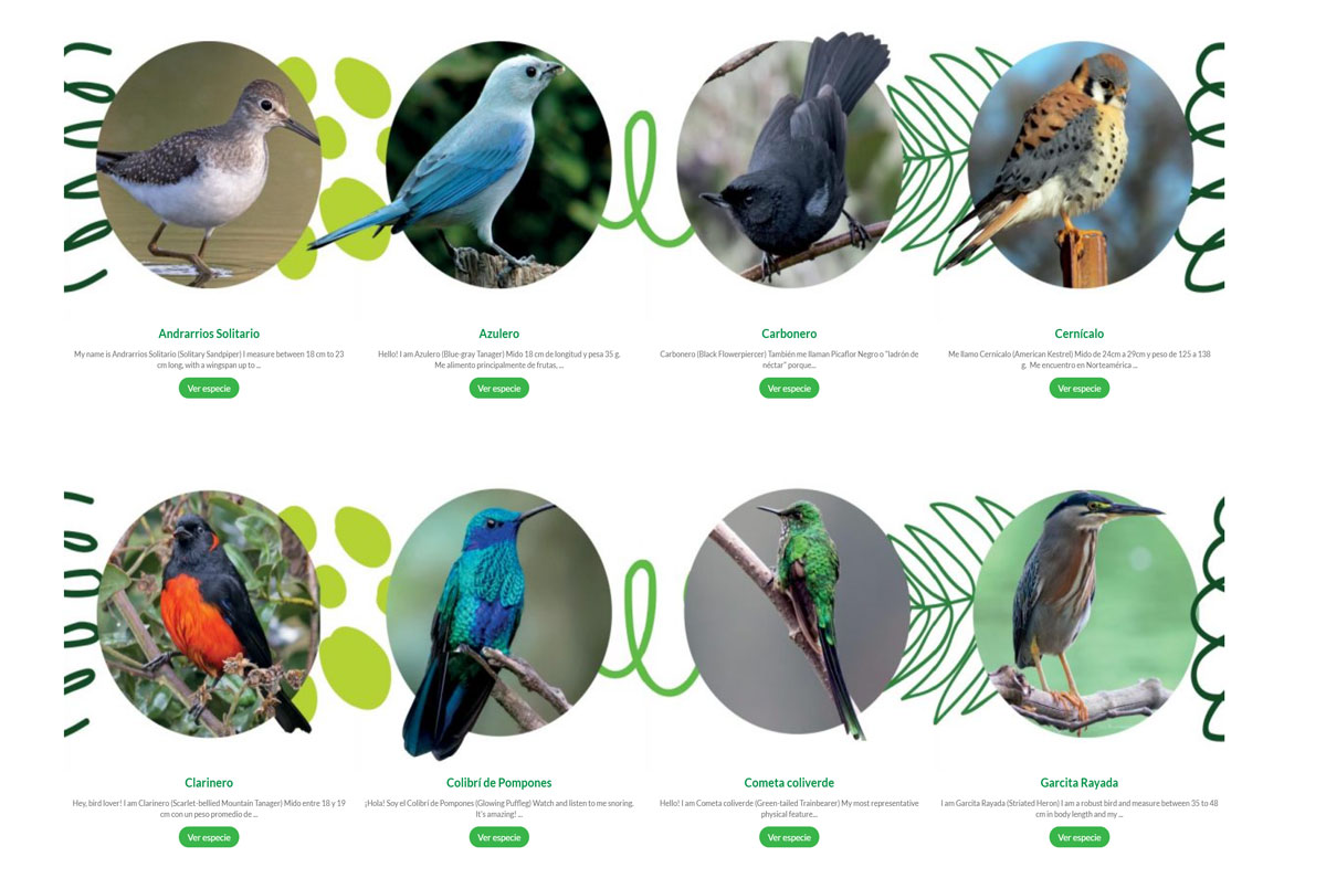 Biodiversidad en el CLN