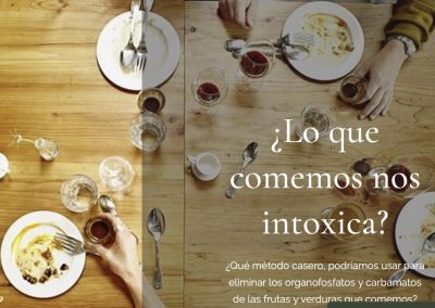 ¿Lo que comemos nos intoxica?