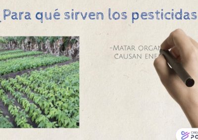 Pesticidas y sus componentes químicos