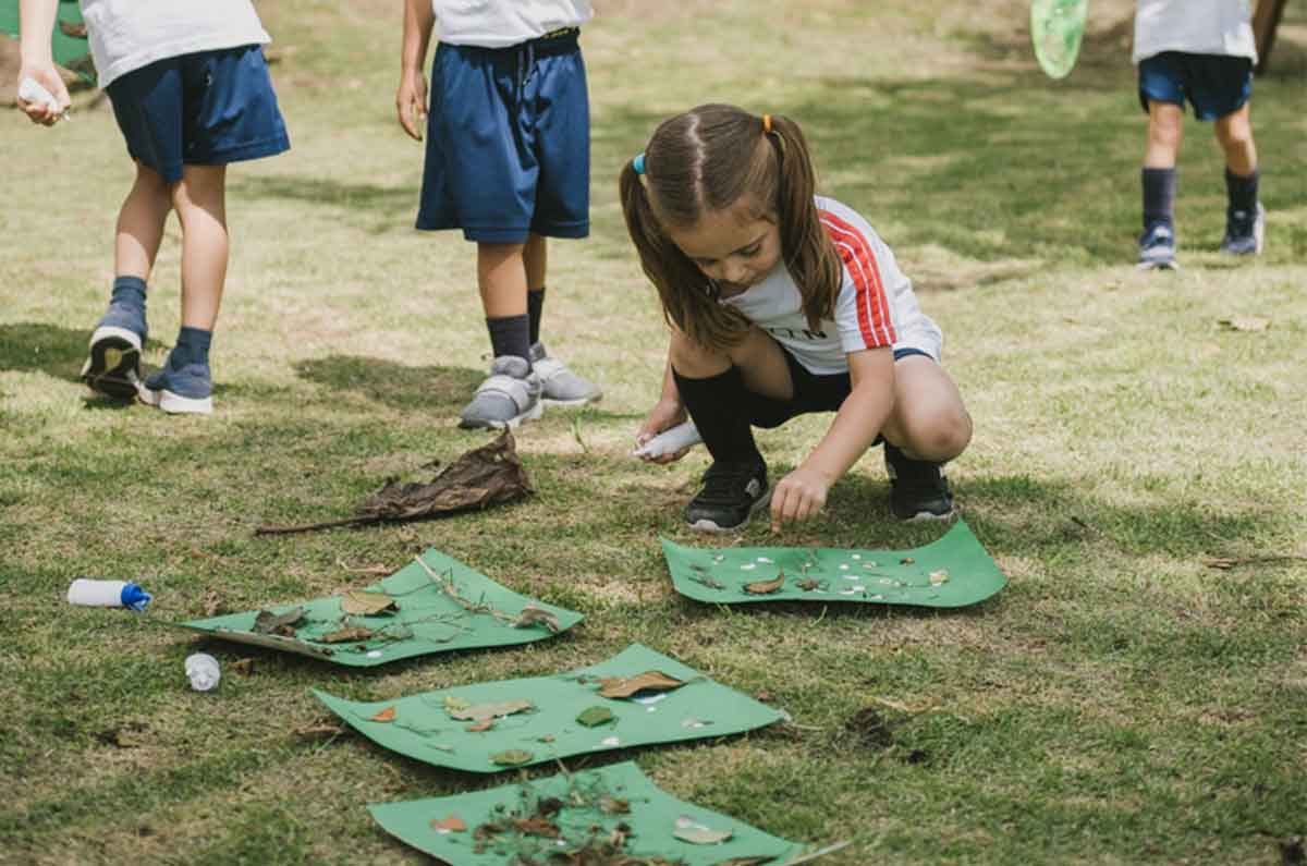 La ONU reconoce al CLN dentro de las mejores prácticas en sostenibilidad