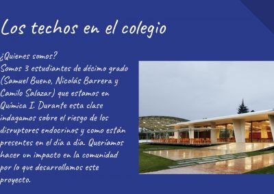 Los techos en el Colegio