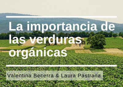 Frutas y verduras orgánicas