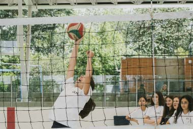 voleibol