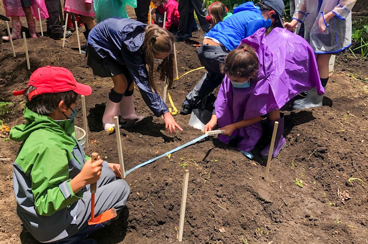 Gardening project in Zasqua